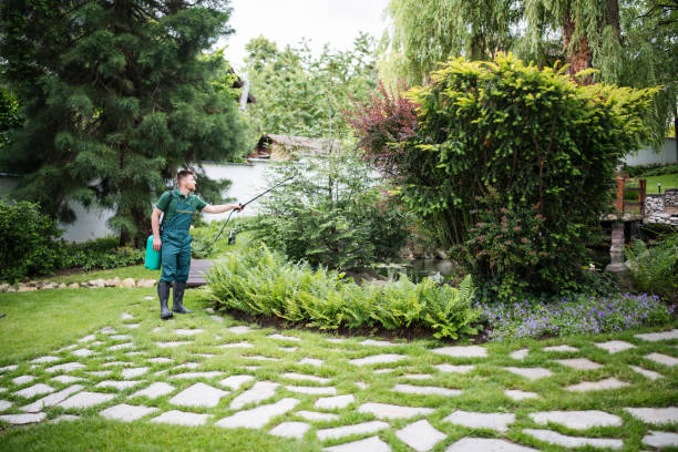 Best Ant Control Services  in Polkton, NC