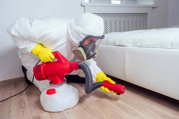 Best Termite Control Services  in Polkton, NC