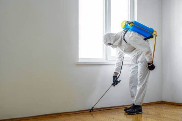 Best Pest Control for Restaurants  in Polkton, NC