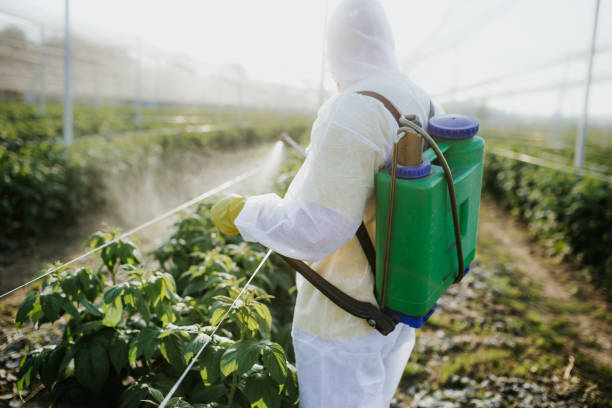 Trusted Polkton, NC Pest Control Experts